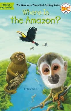 Where Is the Amazon?