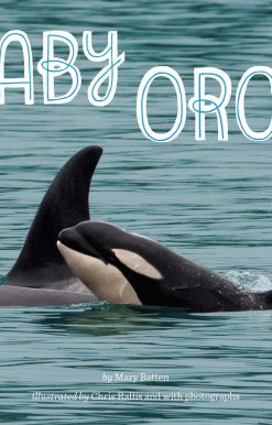 Baby Orca