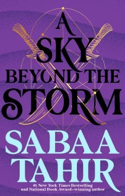 A Sky Beyond the Storm