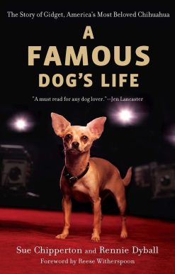 A Famous Dog's Life: The Story of Gidget, America's Most Beloved Chihuahua