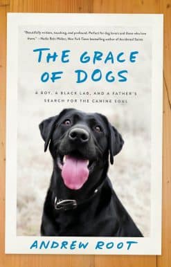 A Boy, a Black Lab, and a Father's Search for the Canine Soul: The Grace of Dogs