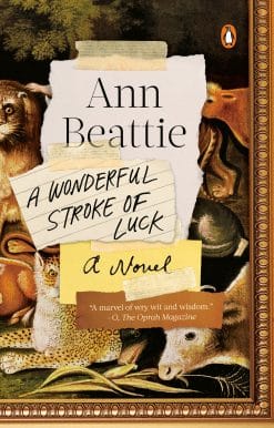 A Wonderful Stroke of Luck: A Novel