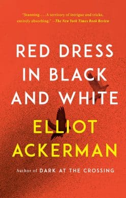 A novel: Red Dress in Black and White