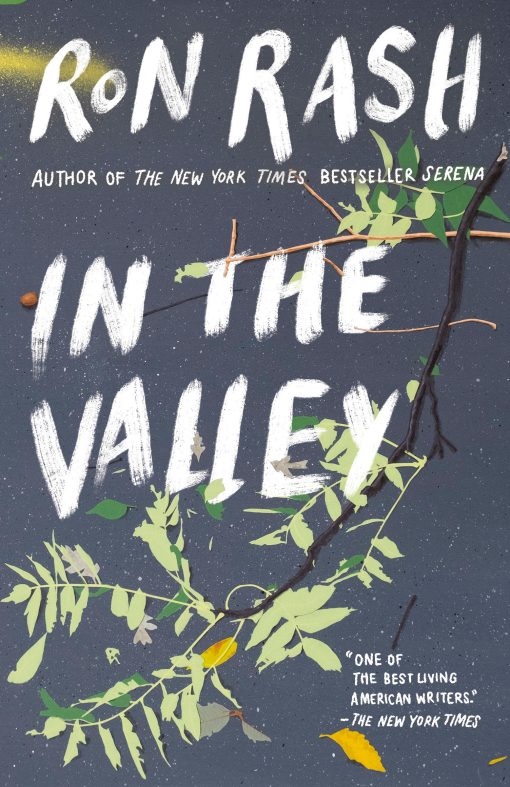 Stories and a Novella Based on SERENA: In the Valley