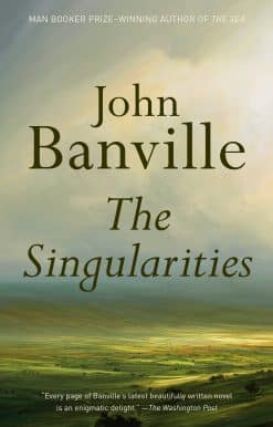 A novel: The Singularities