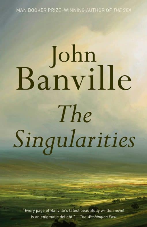 A novel: The Singularities