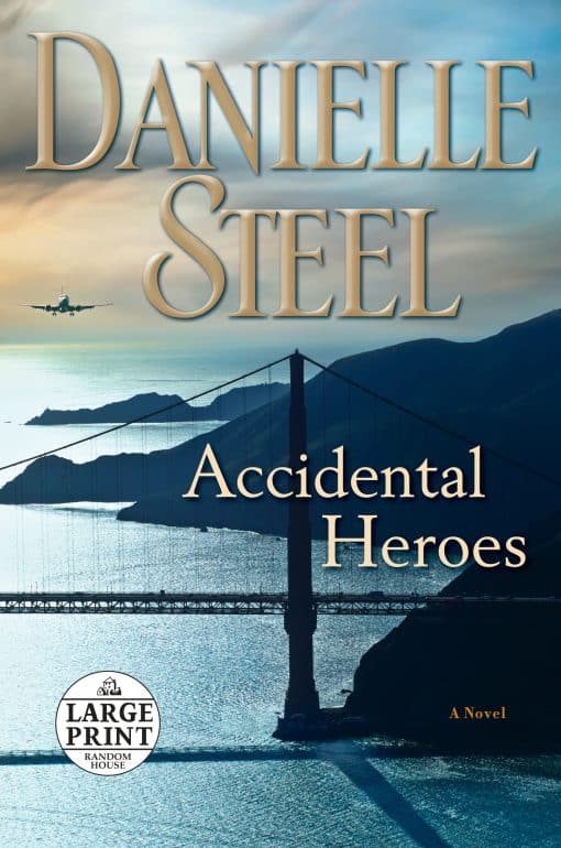A Novel: Accidental Heroes