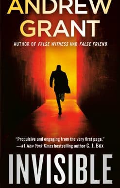 Invisible: A Novel