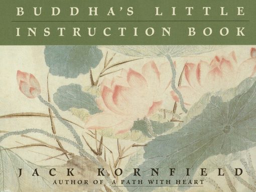 Buddha's Little Instruction Book