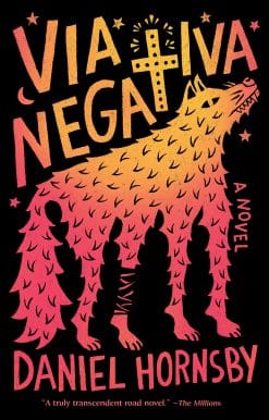 A novel: Via Negativa