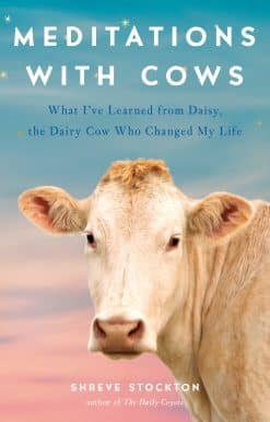 Meditations with Cows: What I've Learned from Daisy, the Dairy Cow Who Changed My Life
