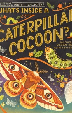 What's Inside a Caterpillar Cocoon?: And Other Questions About Moths & Butterflies
