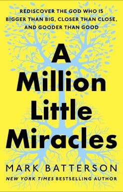 Rediscover the God Who Is Bigger Than Big, Closer Than Close, and Gooder Than Good: A Million Little Miracles