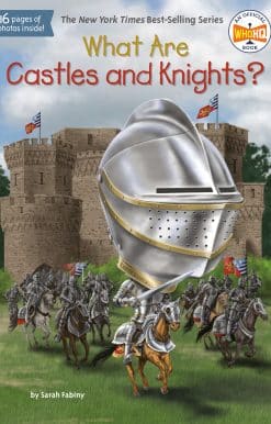 What Are Castles and Knights?