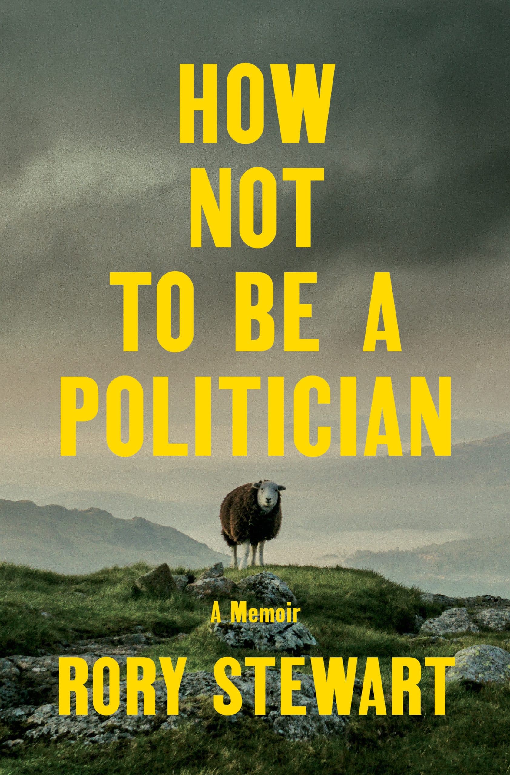 A Memoir: How Not to Be a Politician