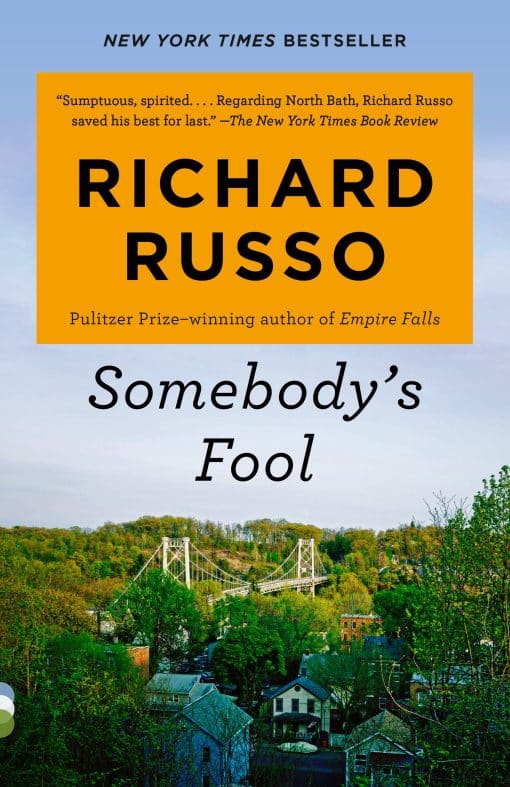 Somebody's Fool: A novel