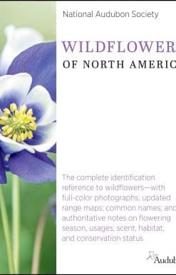 National Audubon Society Wildflowers of North America