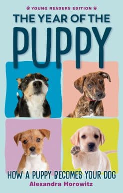 How a Puppy Becomes Your Dog: The Year of the Puppy