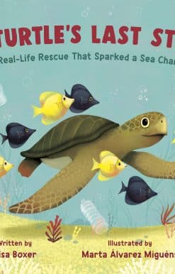 One Turtle's Last Straw: The Real-Life Rescue That Sparked a Sea Change