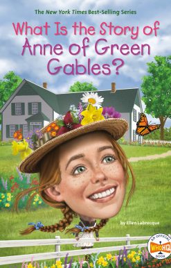 What Is the Story of Anne of Green Gables?