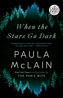 When the Stars Go Dark: A Novel