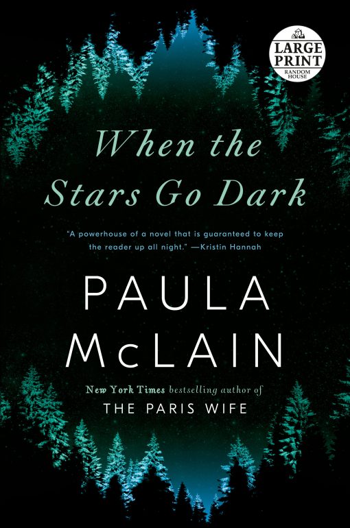When the Stars Go Dark: A Novel