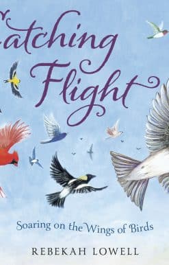 Catching Flight: Soaring on the Wings of Birds