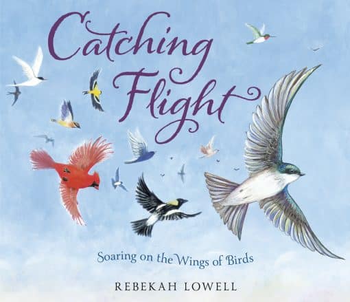 Catching Flight: Soaring on the Wings of Birds