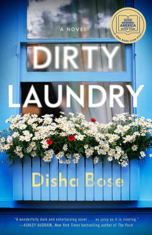 A Novel: Dirty Laundry