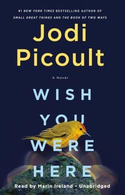 Wish You Were Here: A Novel
