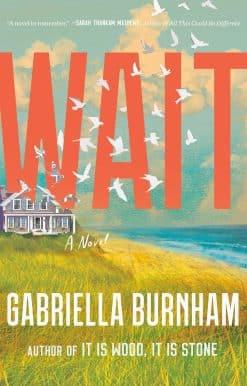 Wait: A Novel