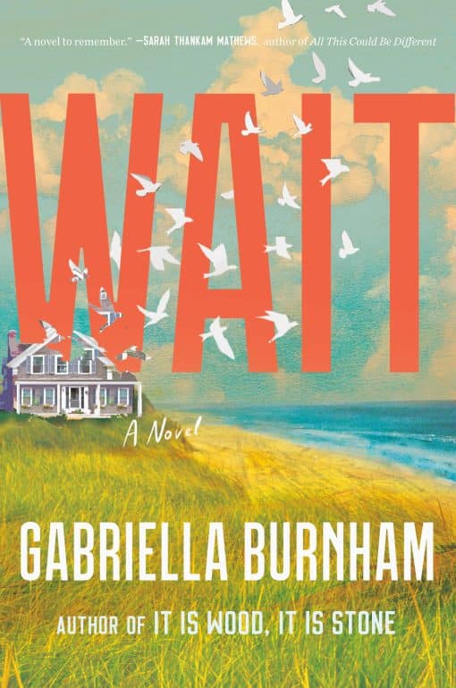 Wait: A Novel