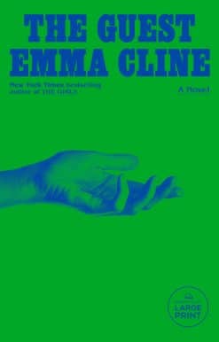 The Guest: A Novel