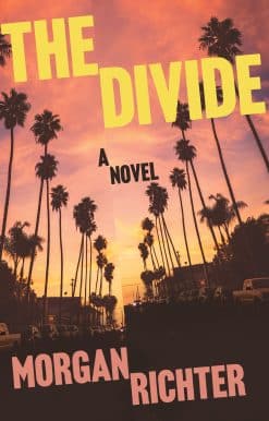 The Divide: A novel