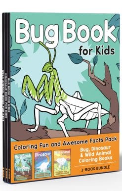 Coloring Book Box Set: 3 Books for Coloring Fun and Awesome Facts about Dinosaurs,Bugs,and Wild Animals (Perfect Gift for Kids Ages 3-7)