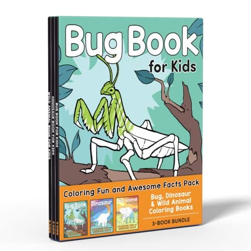 Coloring Book Box Set: 3 Books for Coloring Fun and Awesome Facts about Dinosaurs,Bugs,and Wild Animals (Perfect Gift for Kids Ages 3-7)