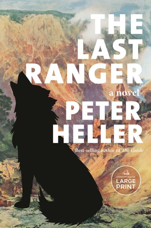 A novel: The Last Ranger