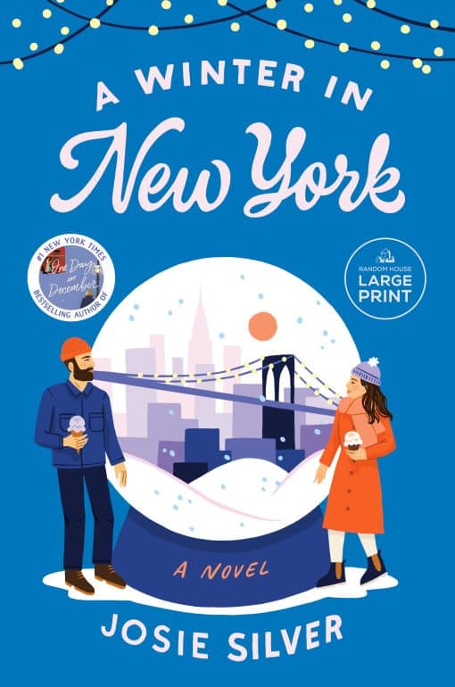 A Winter in New York: A Novel