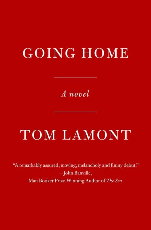 A Novel of Boys, Mistakes, and Second Chances: Going Home