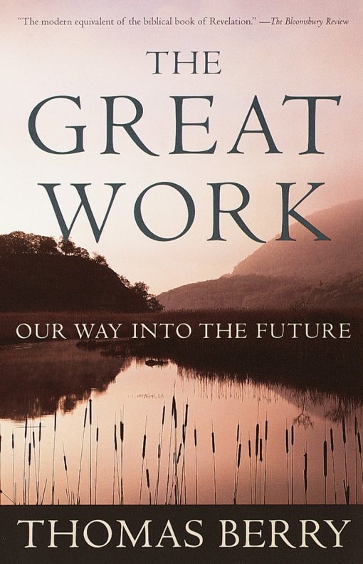 Our Way into the Future: The Great Work