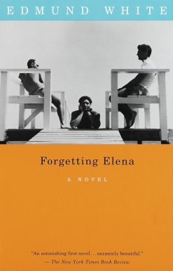 Forgetting Elena: A Novel