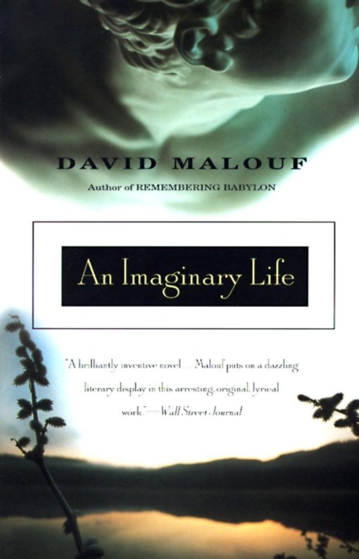 An Imaginary Life: