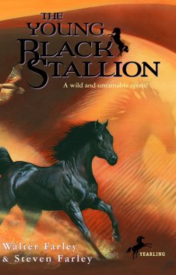 The Young Black Stallion