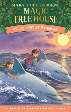 Dolphins at Daybreak