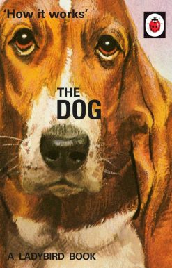 How it Works: The Dog