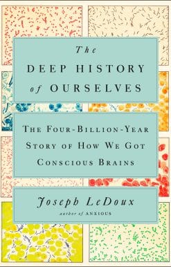 The Four-Billion-Year Story of How We Got Conscious Brains: The Deep History of Ourselves