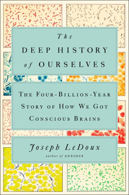 The Four-Billion-Year Story of How We Got Conscious Brains: The Deep History of Ourselves