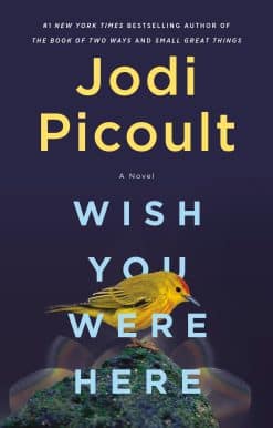 Wish You Were Here: A Novel