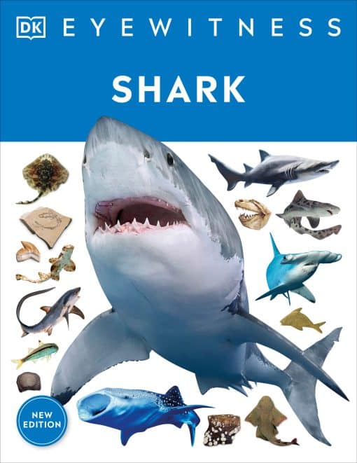Dive into the fascinating world of sharks: Eyewitness Shark