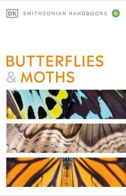 Butterflies and Moths